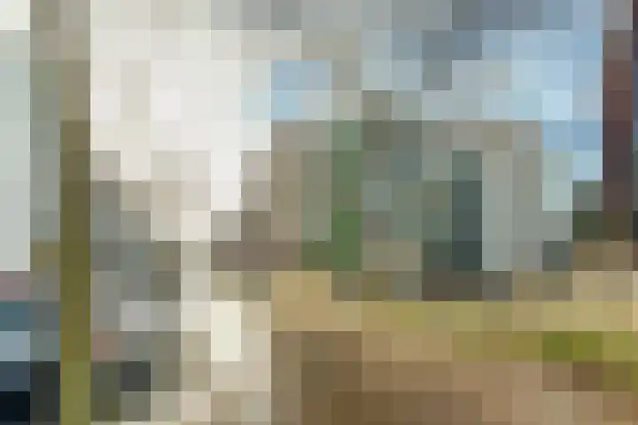 Bordeslaan 105 's-Hertogenbosch thumbnail 40