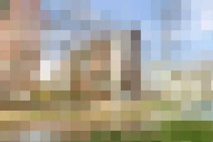 Bordeslaan 105 's-Hertogenbosch thumbnail 42