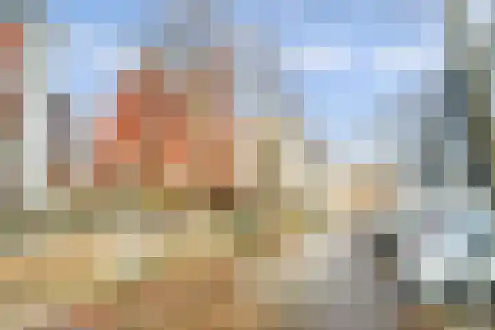 Bordeslaan 105 's-Hertogenbosch thumbnail 43