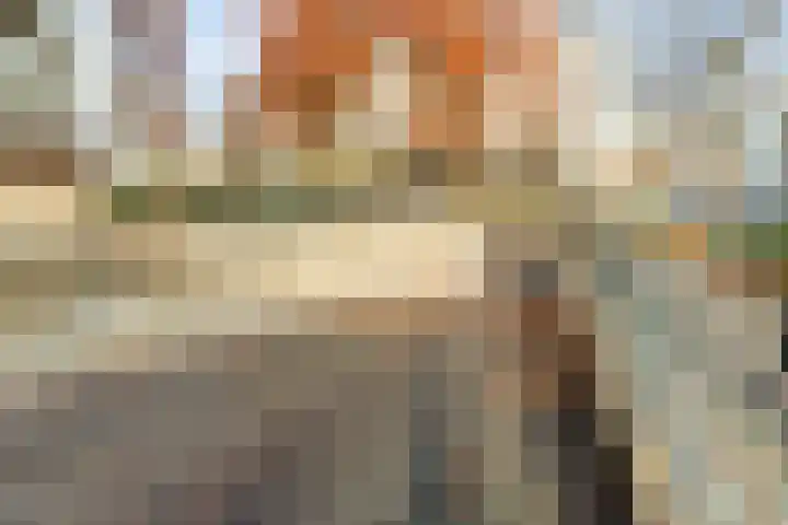 Bordeslaan 105 's-Hertogenbosch thumbnail 44