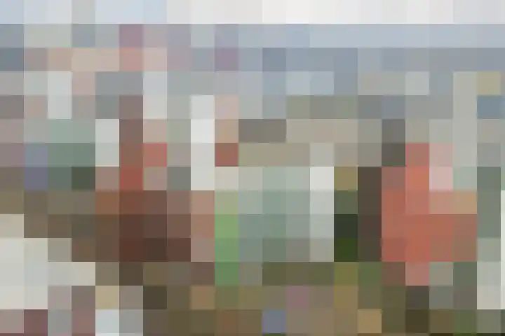 Bordeslaan 105 's-Hertogenbosch thumbnail 47