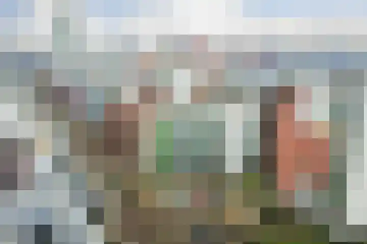 Bordeslaan 105 's-Hertogenbosch thumbnail 48