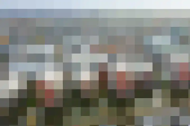 Bordeslaan 105 's-Hertogenbosch thumbnail 51