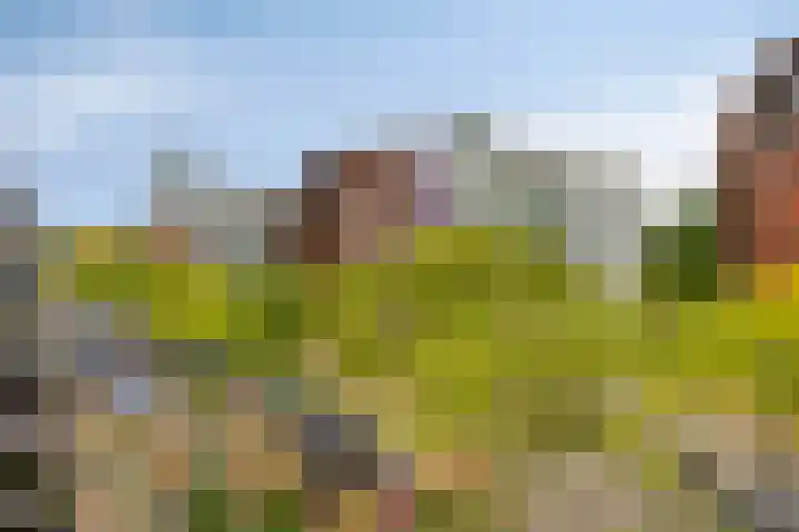 Bordeslaan 126 's-Hertogenbosch thumbnail 30