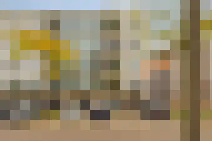 Bordeslaan 126 's-Hertogenbosch thumbnail 31