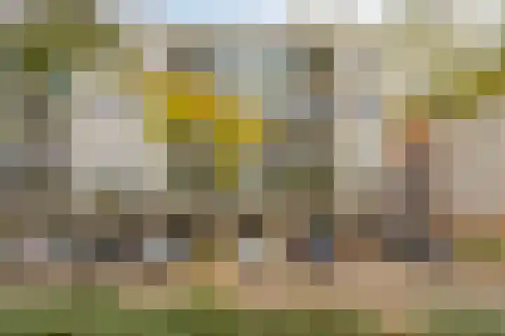 Bordeslaan 126 's-Hertogenbosch thumbnail 32