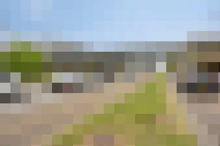 Bordeslaan 126 's-Hertogenbosch thumbnail 34
