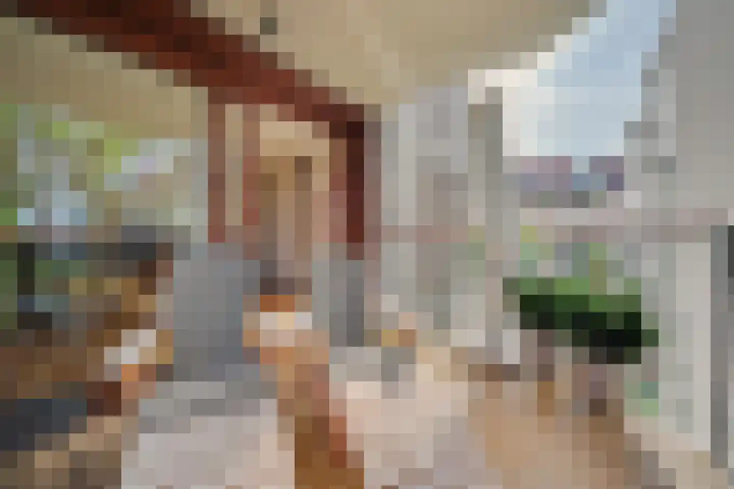 Bordeslaan 127 's-Hertogenbosch thumbnail 17