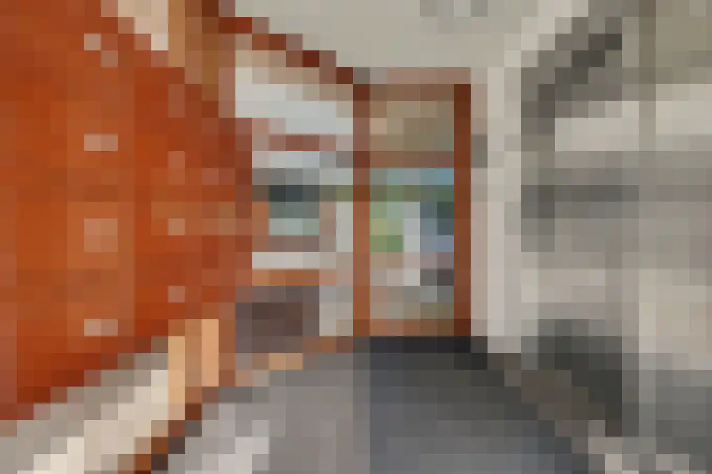 Bordeslaan 127 's-Hertogenbosch thumbnail 54