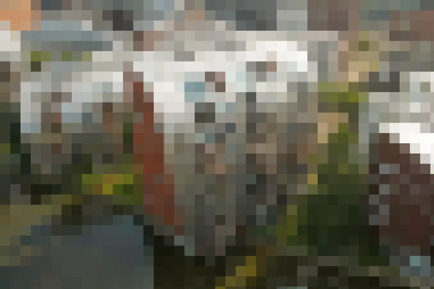 Bordeslaan 127 's-Hertogenbosch thumbnail 62