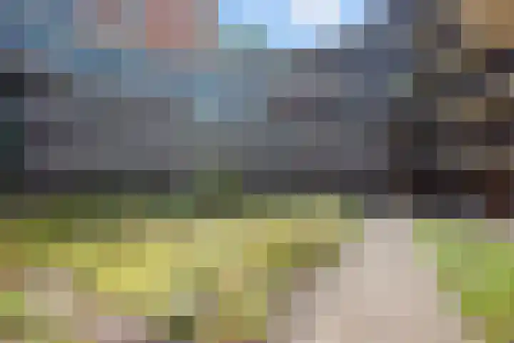 Bordeslaan 140 's-Hertogenbosch thumbnail 37