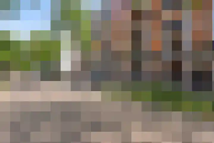 Bordeslaan 140 's-Hertogenbosch thumbnail 41