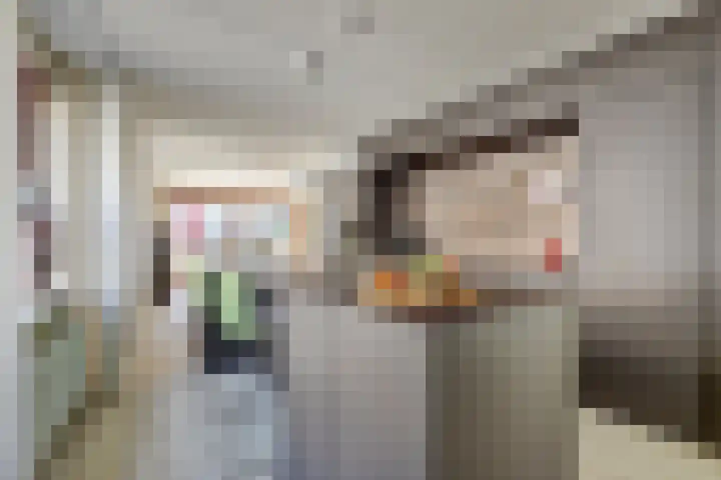 Bordeslaan 157 's-Hertogenbosch thumbnail 18