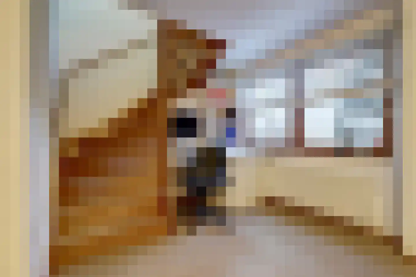 Bordeslaan 157 's-Hertogenbosch thumbnail 43