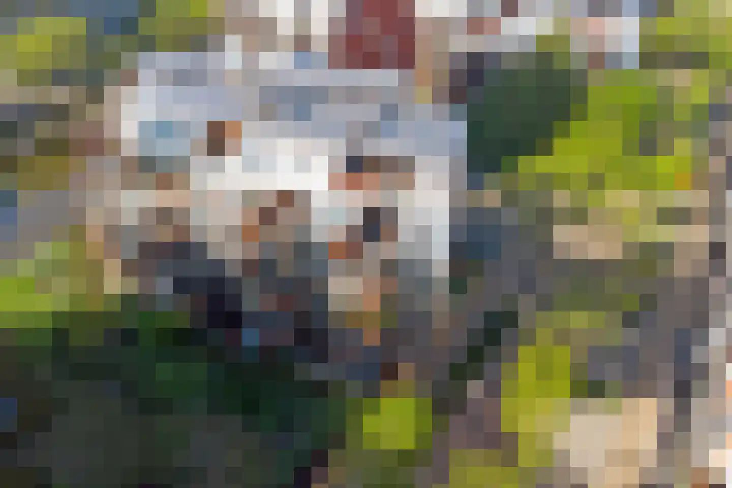 Bordeslaan 157 's-Hertogenbosch thumbnail 52