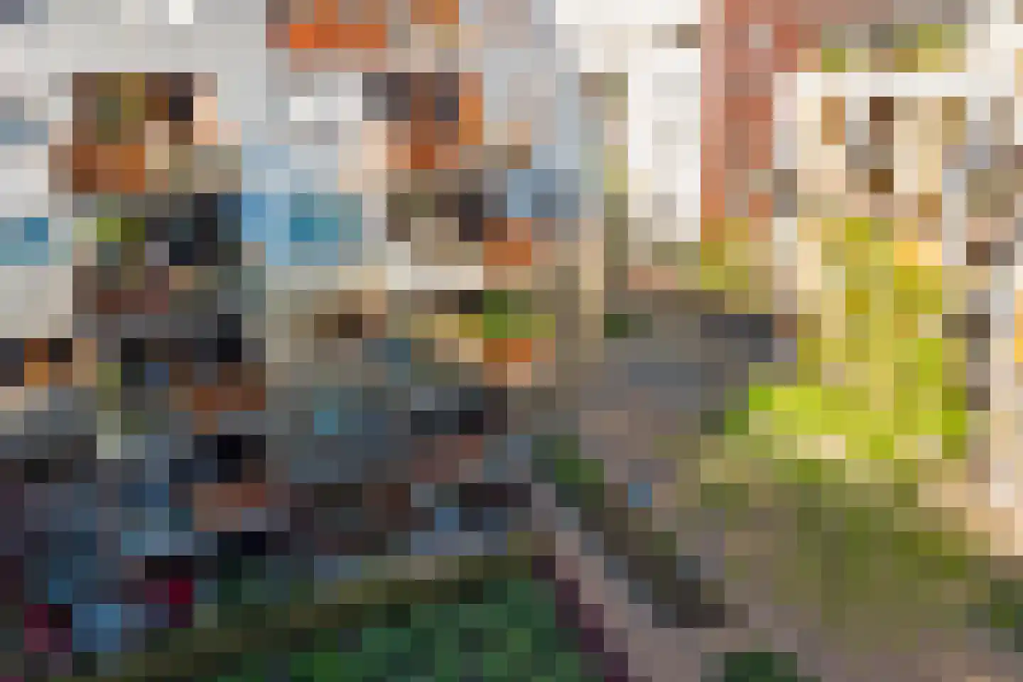 Bordeslaan 157 's-Hertogenbosch thumbnail 53