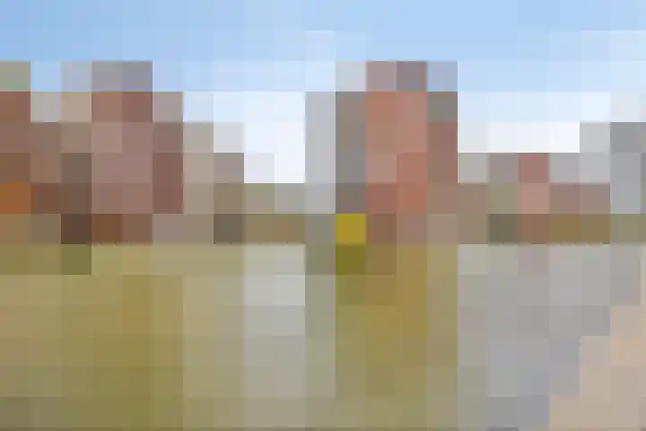 Bordeslaan 179 's-Hertogenbosch thumbnail 31