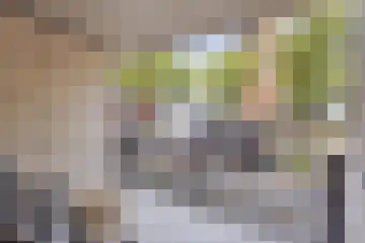 Bordeslaan 188 's-Hertogenbosch thumbnail 10