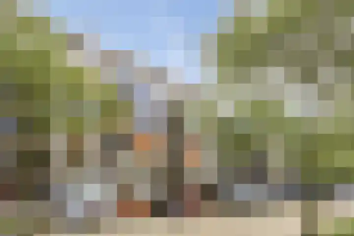 Bordeslaan 188 's-Hertogenbosch thumbnail 29