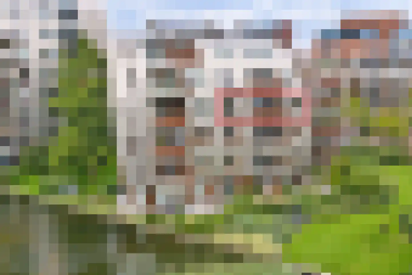 Bordeslaan 189 's-Hertogenbosch foto 2