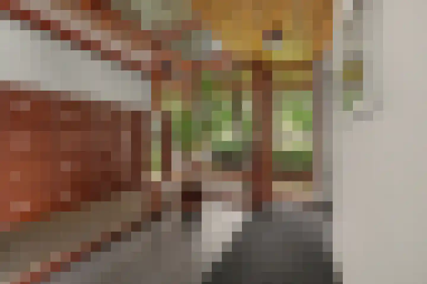 Bordeslaan 189 's-Hertogenbosch thumbnail 32