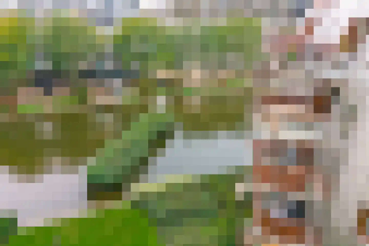 Bordeslaan 189 's-Hertogenbosch thumbnail 33