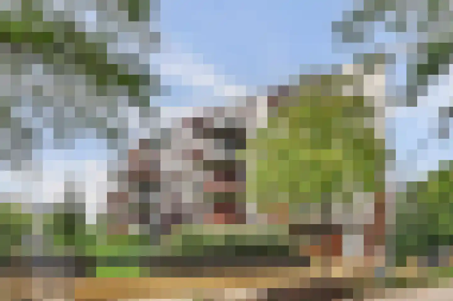 Bordeslaan 189 's-Hertogenbosch thumbnail 34