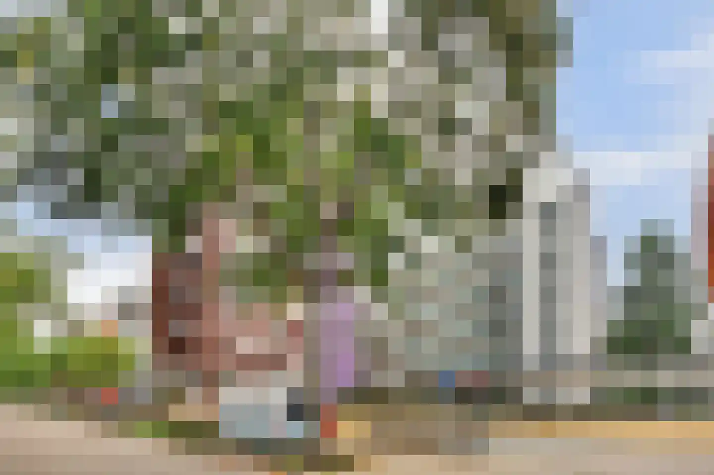 Bordeslaan 189 's-Hertogenbosch thumbnail 35
