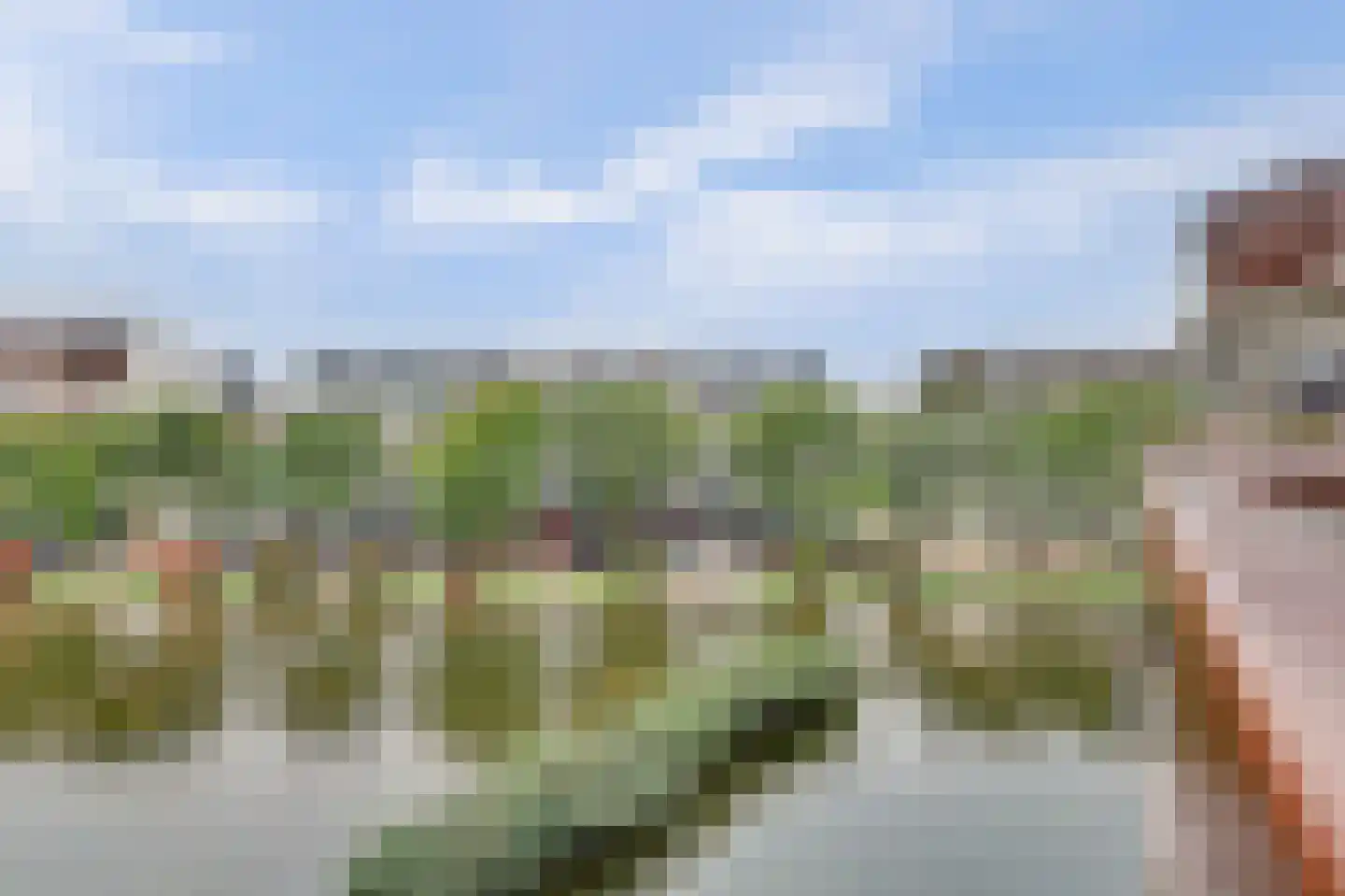 Bordeslaan 189 's-Hertogenbosch thumbnail 8