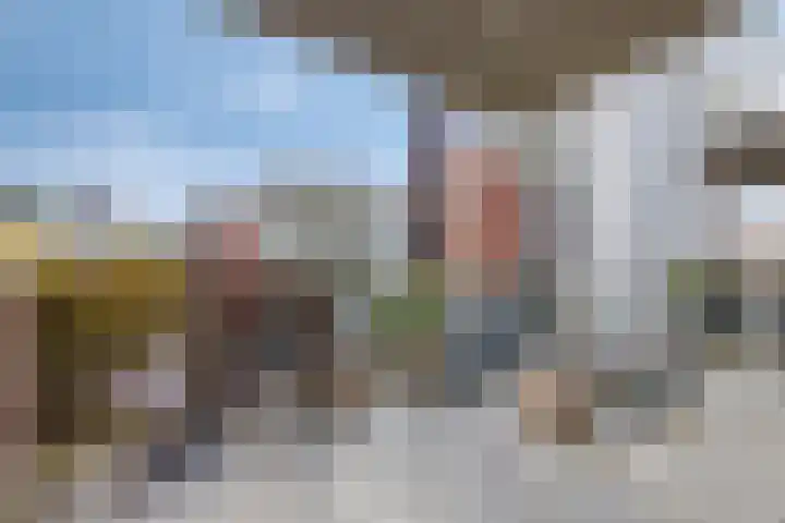 Bordeslaan 195 's-Hertogenbosch thumbnail 21