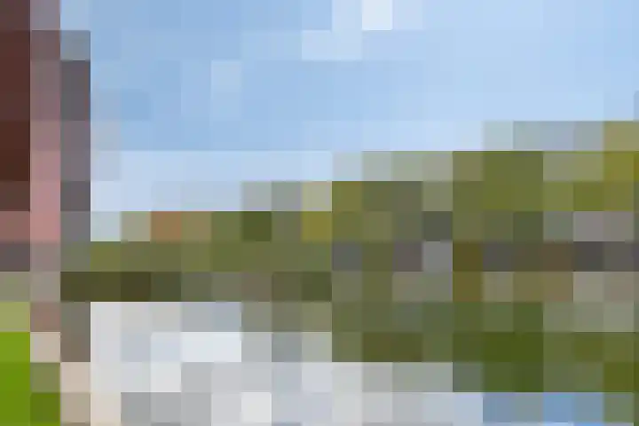 Bordeslaan 195 's-Hertogenbosch thumbnail 37