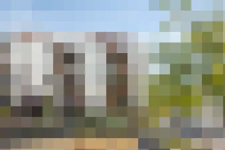 Bordeslaan 195 's-Hertogenbosch thumbnail 39