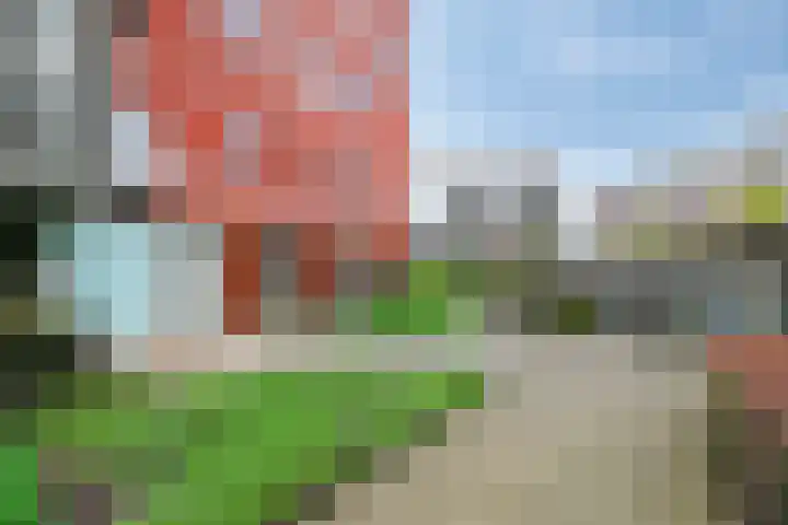 Bordeslaan 213 's-Hertogenbosch thumbnail 10