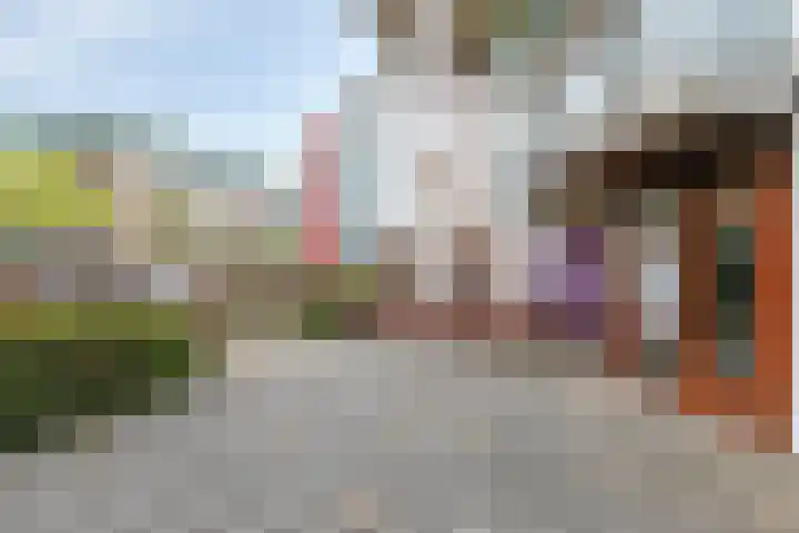 Bordeslaan 213 's-Hertogenbosch thumbnail 11