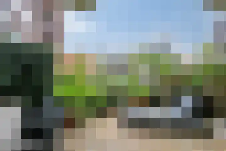 Bordeslaan 213 's-Hertogenbosch thumbnail 29