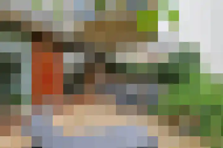 Bordeslaan 213 's-Hertogenbosch thumbnail 30