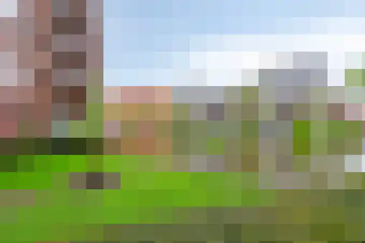 Bordeslaan 213 's-Hertogenbosch thumbnail 31
