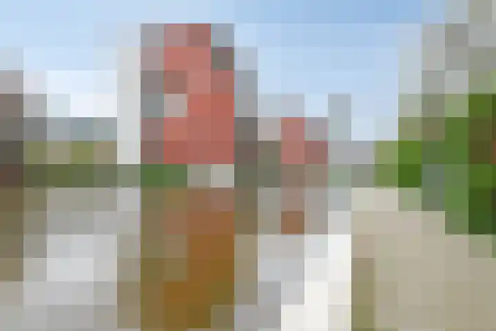 Bordeslaan 213 's-Hertogenbosch thumbnail 35