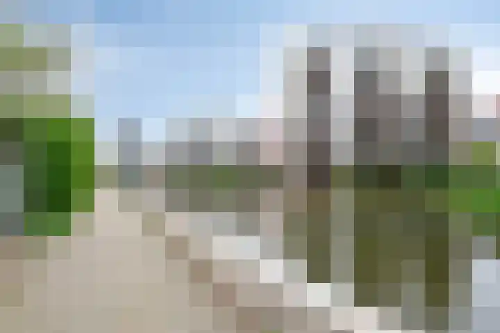 Bordeslaan 213 's-Hertogenbosch thumbnail 36