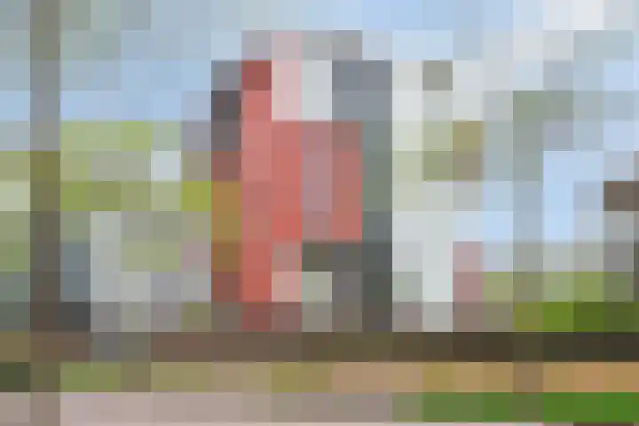 Bordeslaan 213 's-Hertogenbosch thumbnail 40