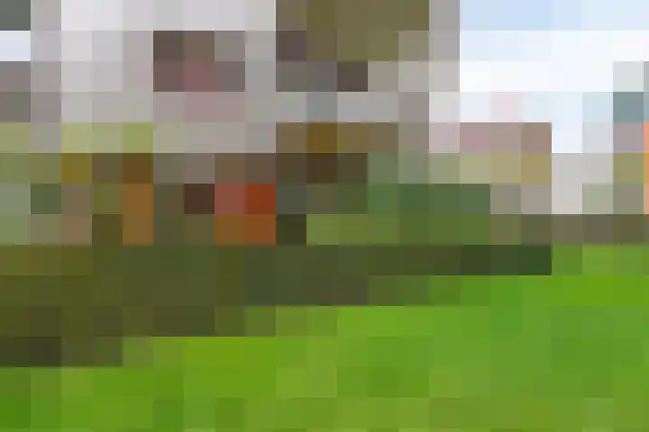 Bordeslaan 213 's-Hertogenbosch thumbnail 43
