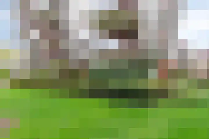 Bordeslaan 213 's-Hertogenbosch thumbnail 45