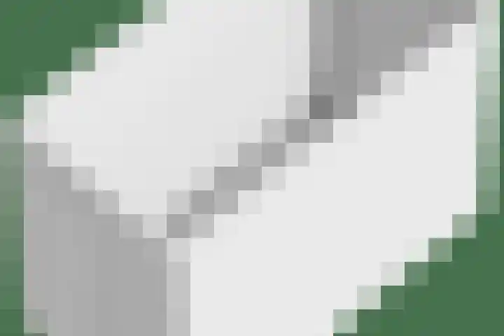 Bordeslaan 213 's-Hertogenbosch thumbnail 49