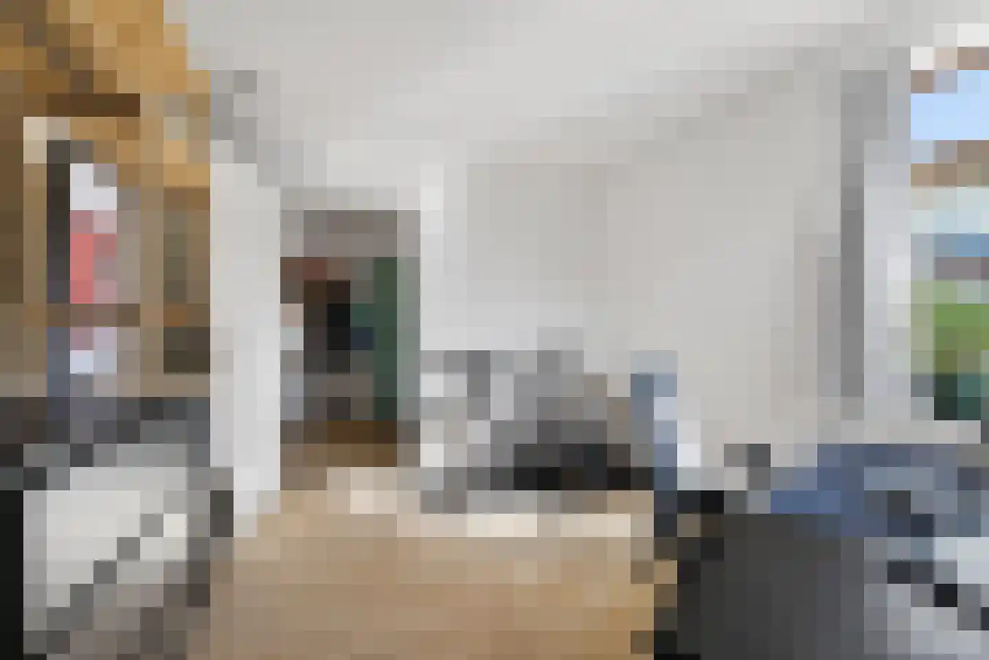 Bordeslaan 23 's-Hertogenbosch thumbnail 27