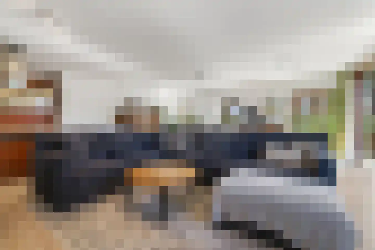 Bordeslaan 23 's-Hertogenbosch thumbnail 6