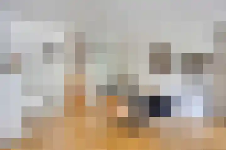 Bordeslaan 273 's-Hertogenbosch thumbnail 10