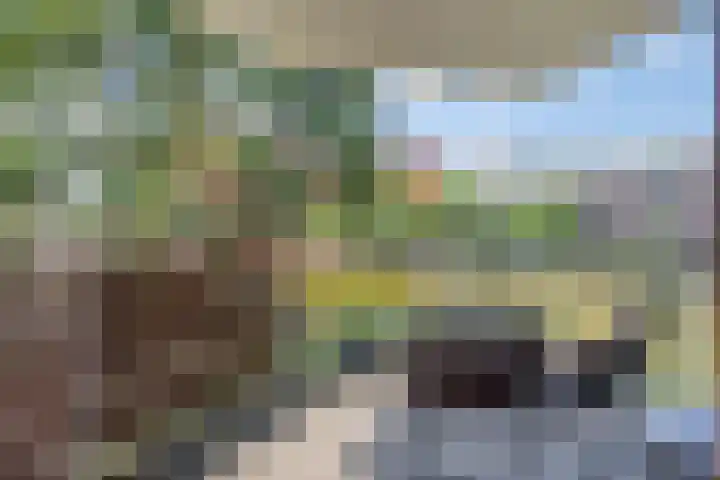 Bordeslaan 273 's-Hertogenbosch thumbnail 14
