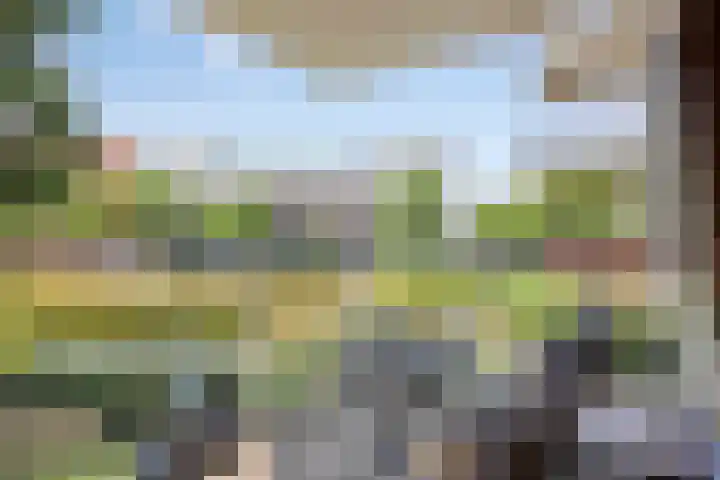 Bordeslaan 273 's-Hertogenbosch thumbnail 16