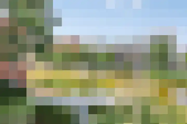 Bordeslaan 273 's-Hertogenbosch thumbnail 17