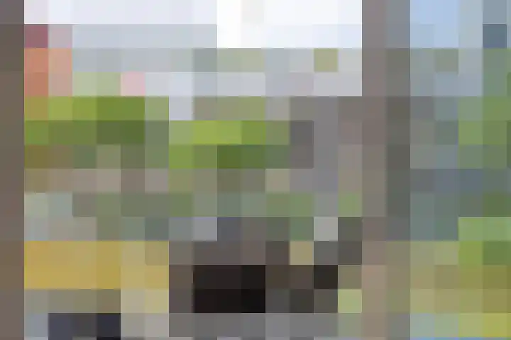 Bordeslaan 273 's-Hertogenbosch thumbnail 18
